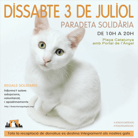 Captura de pantalla 2021 06 24 a las 8.58.03