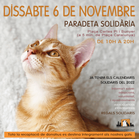 Captura de pantalla 2021 11 09 a las 9.51.27
