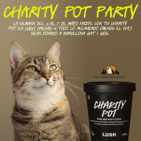 Charity pot party 2