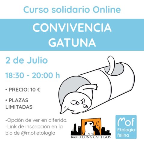 Curso MOf