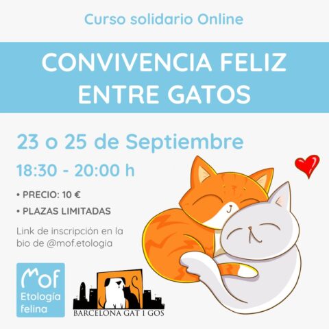 Curso formato publicacion Mof