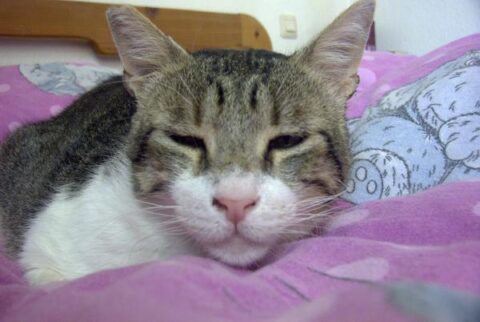 IMAG0046