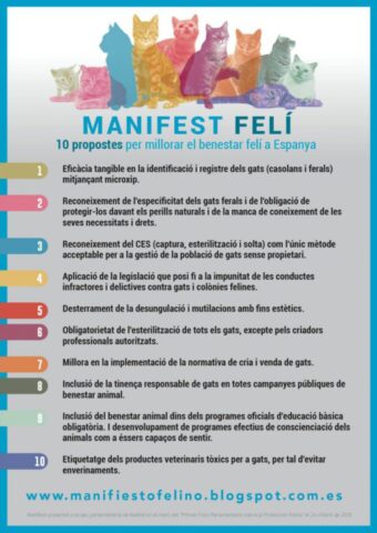 Manifest feli