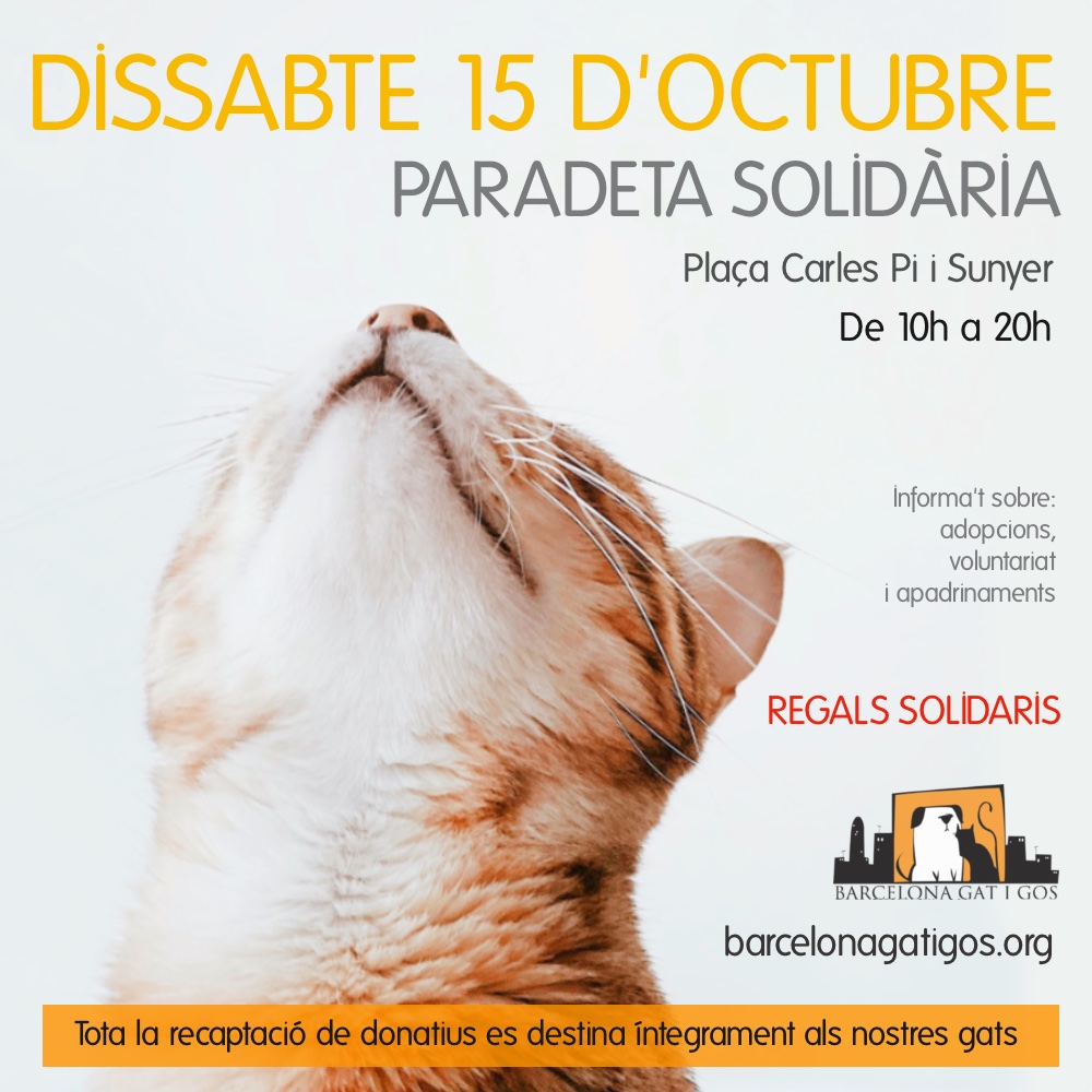 Paradeta 15 octubre