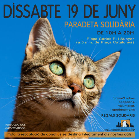 Paradeta 19 junio 2021 scaled 1