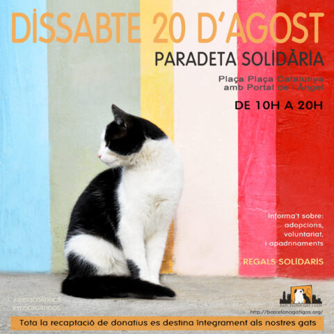 Paradeta 20 Agosto 2022 scaled 1