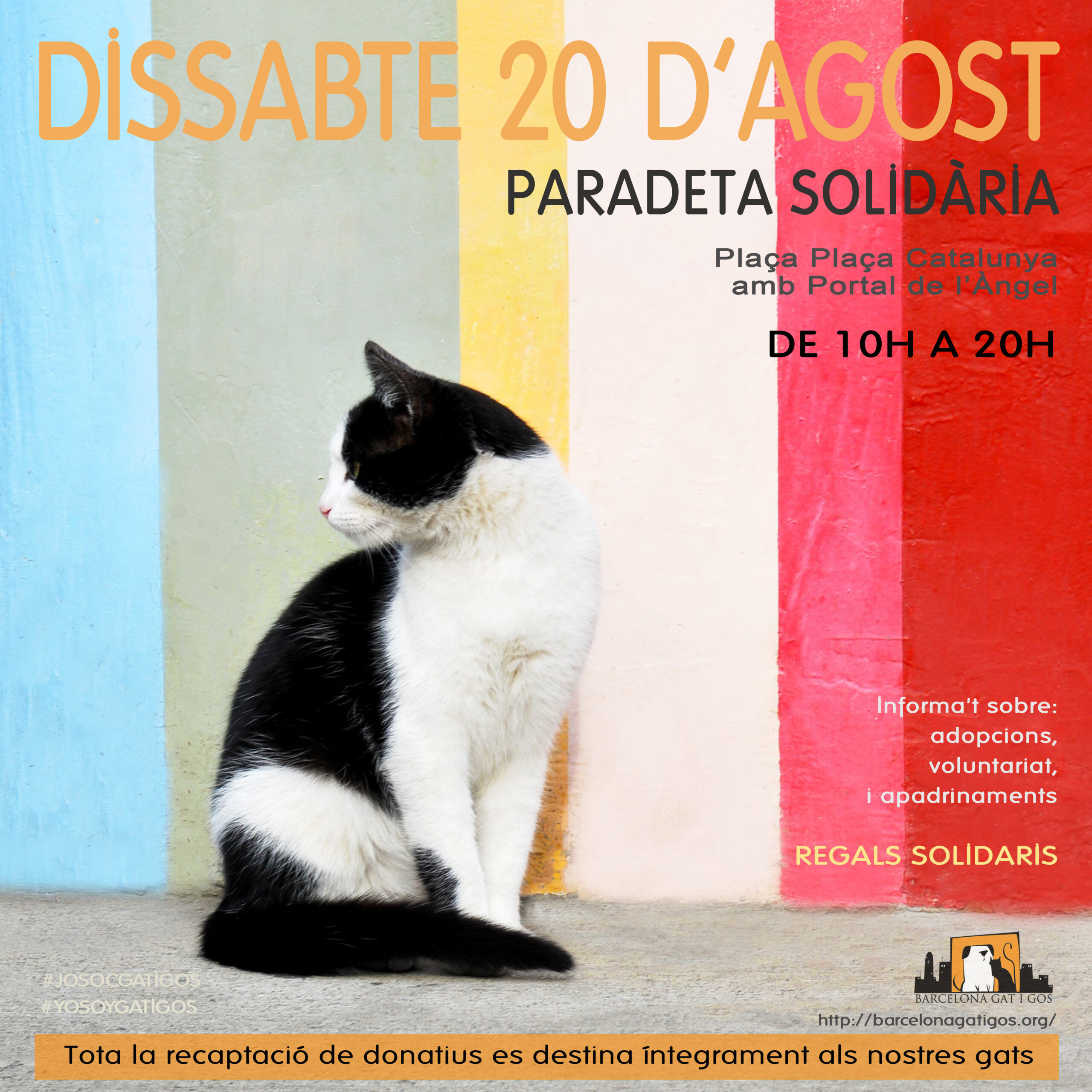 Paradeta 20 Agosto 2022 scaled 1