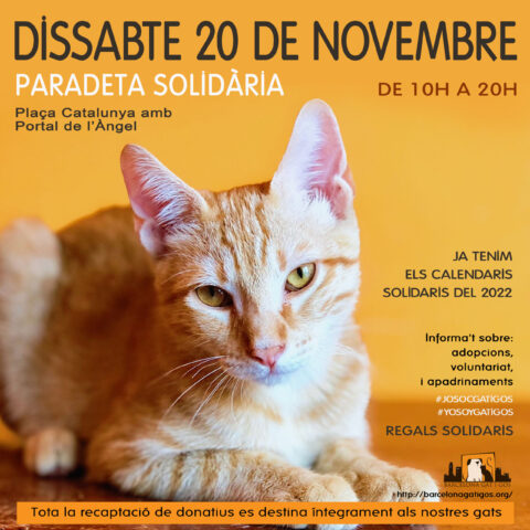 Paradeta 20 NOVEMBRE 2021 scaled 1