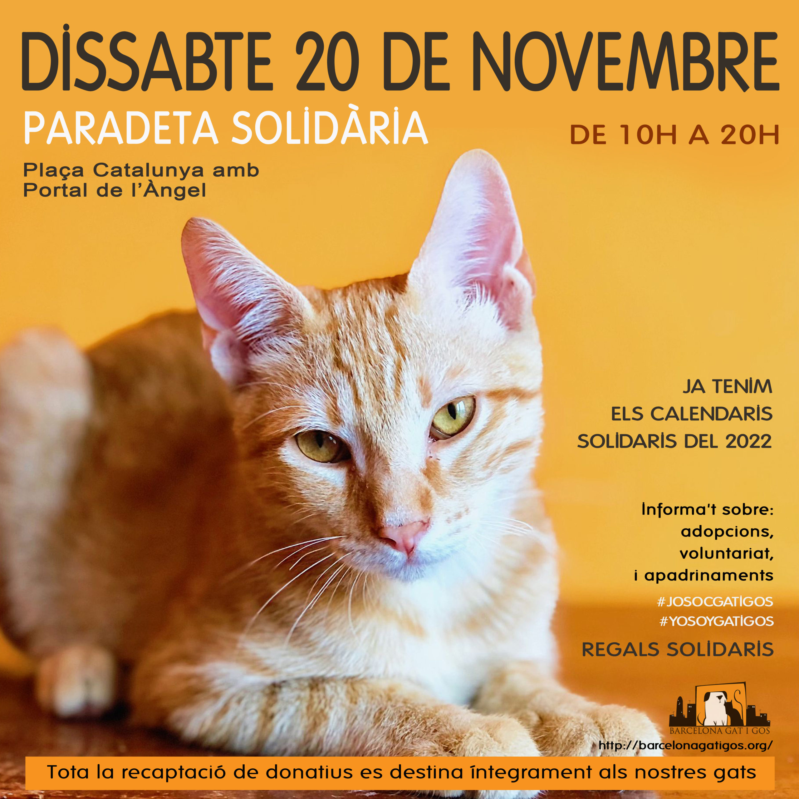 Paradeta 20 NOVEMBRE 2021 scaled 1