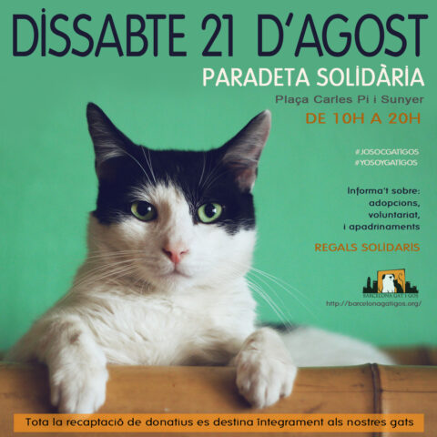 Paradeta 21 agosto 2021