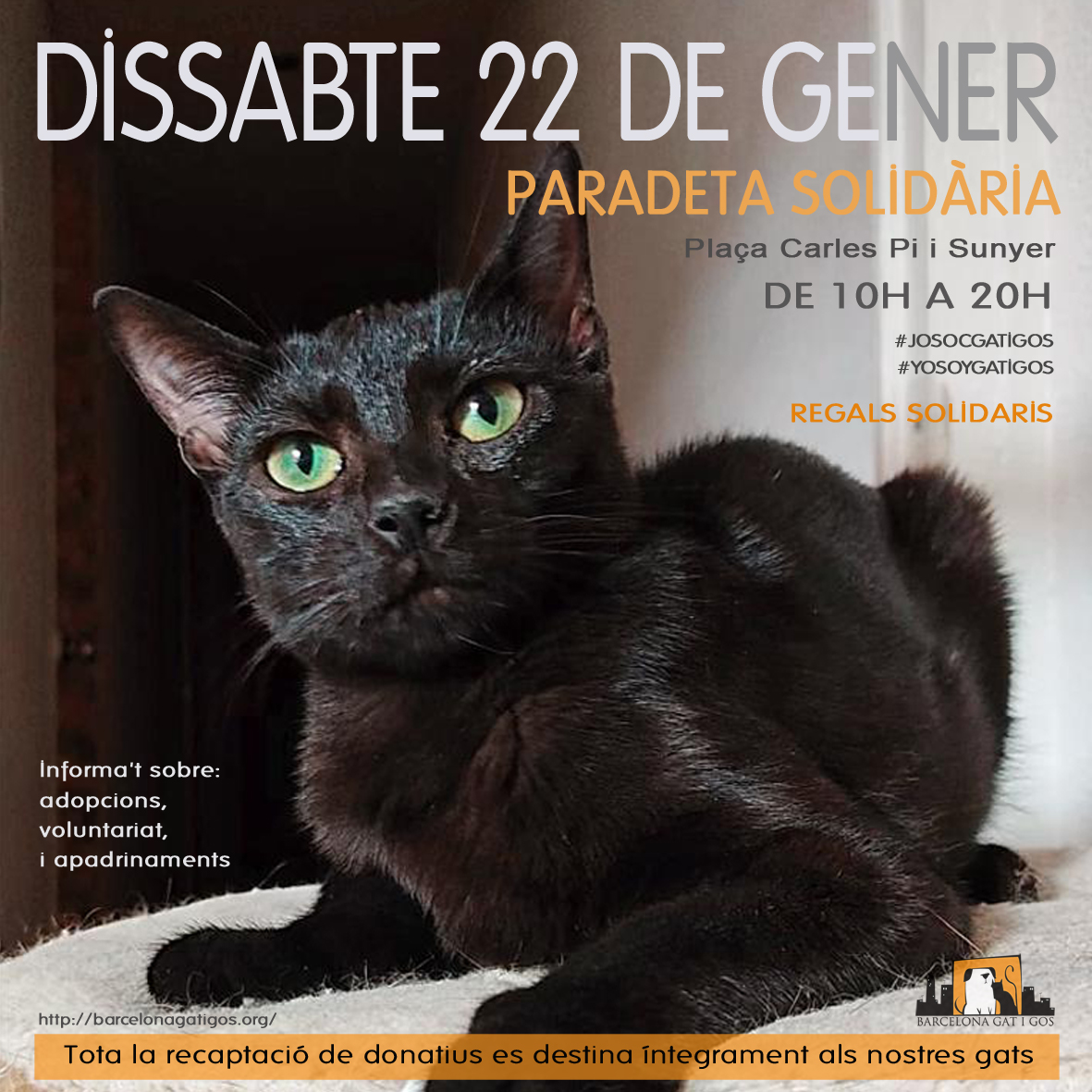 Paradeta 22 enero 2022