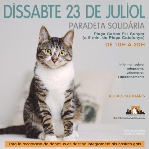 Paradeta 23 JULIOL 2022 scaled 1