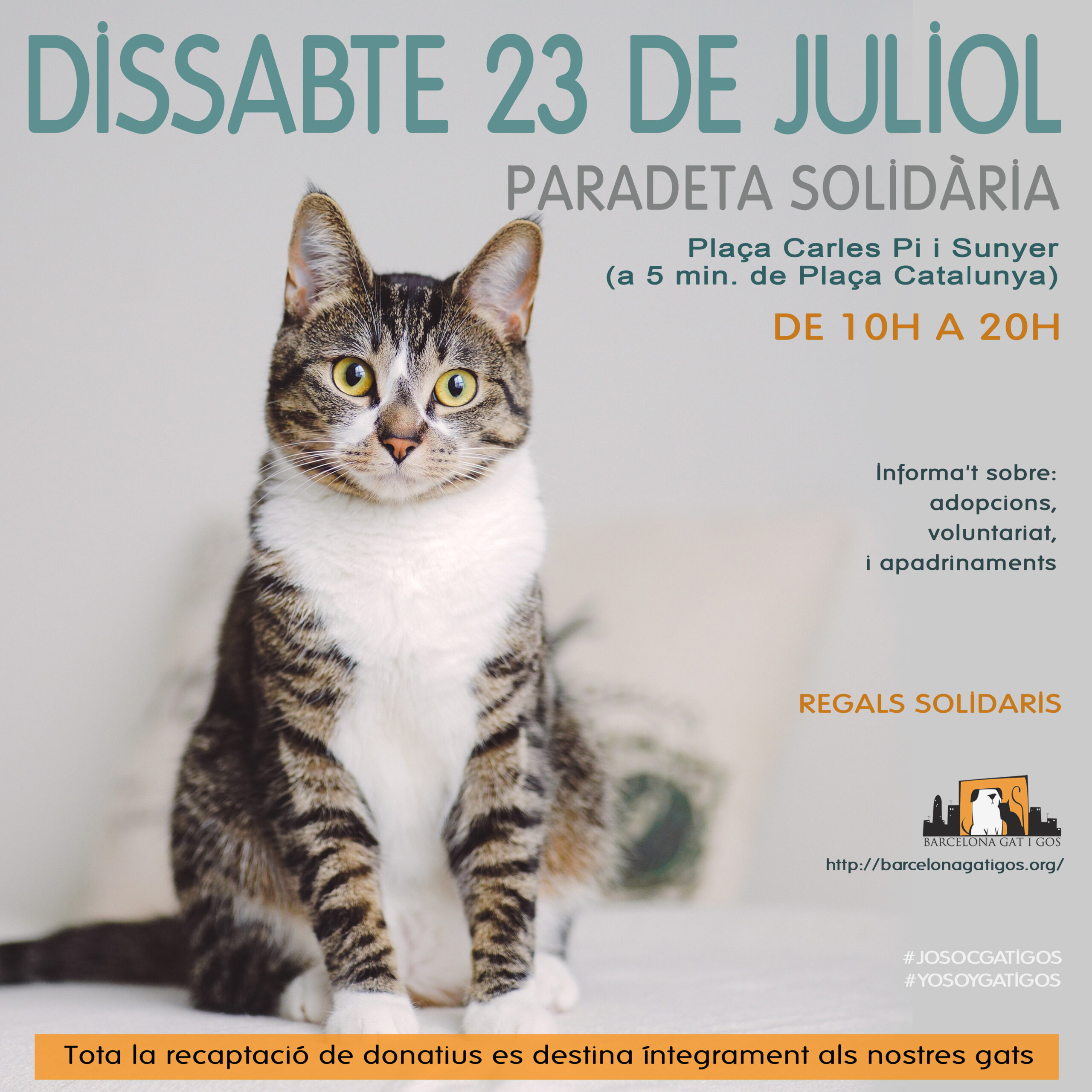 Paradeta 23 JULIOL 2022 scaled 1