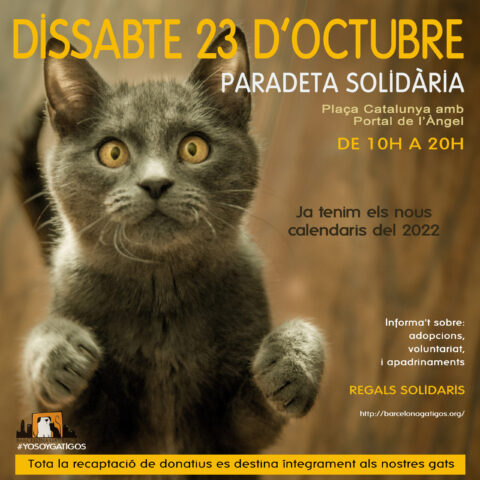 Paradeta 23 OCTUBRE 2021 scaled 1