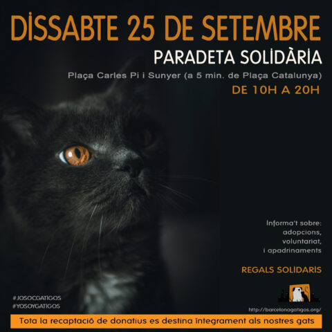 Paradeta 25 SEPTIEMBRE 2021 scaled 1