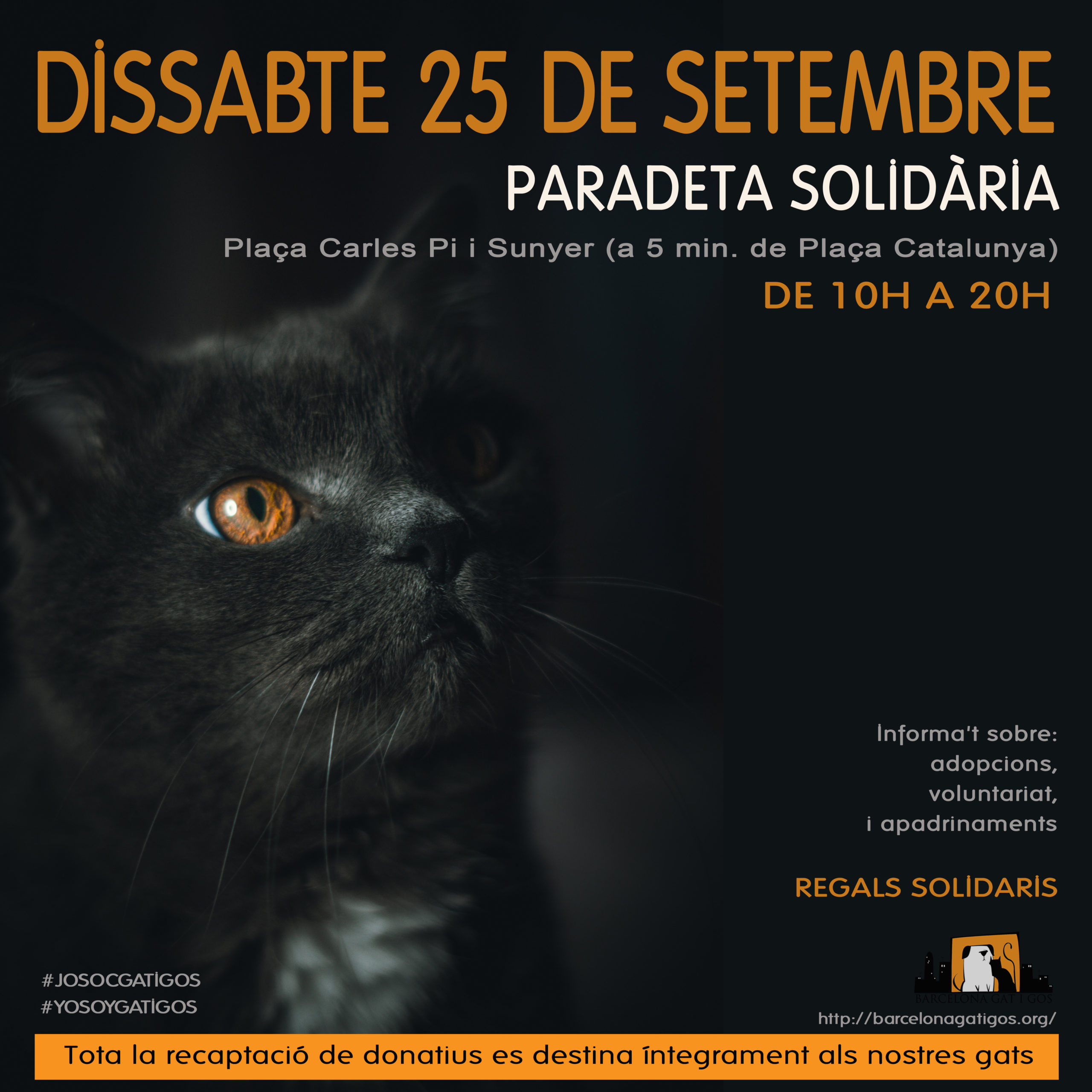 Paradeta 25 SEPTIEMBRE 2021 scaled 1