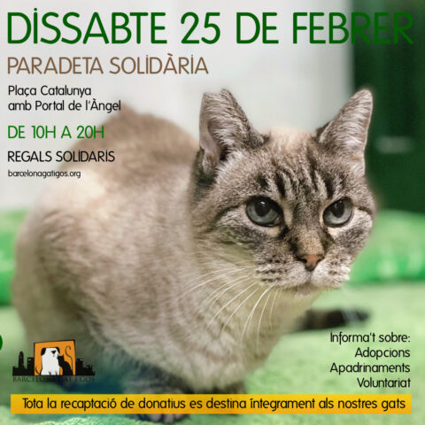 Paradeta 25 febrer