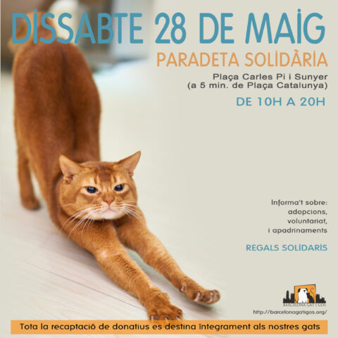 Paradeta 28 MAYO 2022 PI scaled 1