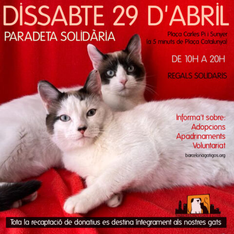 Paradeta 29 de abril