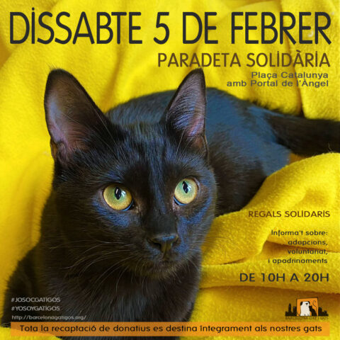 Paradeta 5 febrero 2022