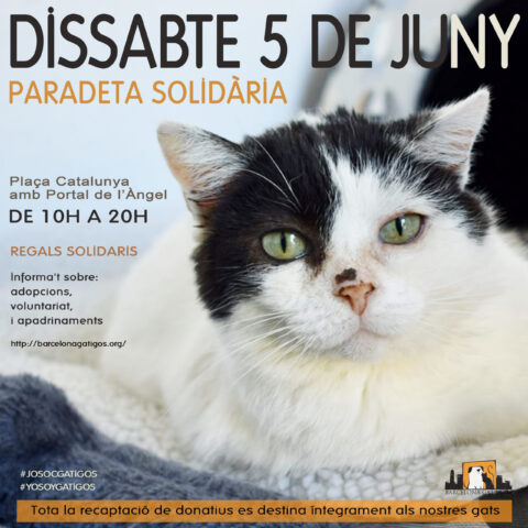 Paradeta 5 junio 2021 scaled 1
