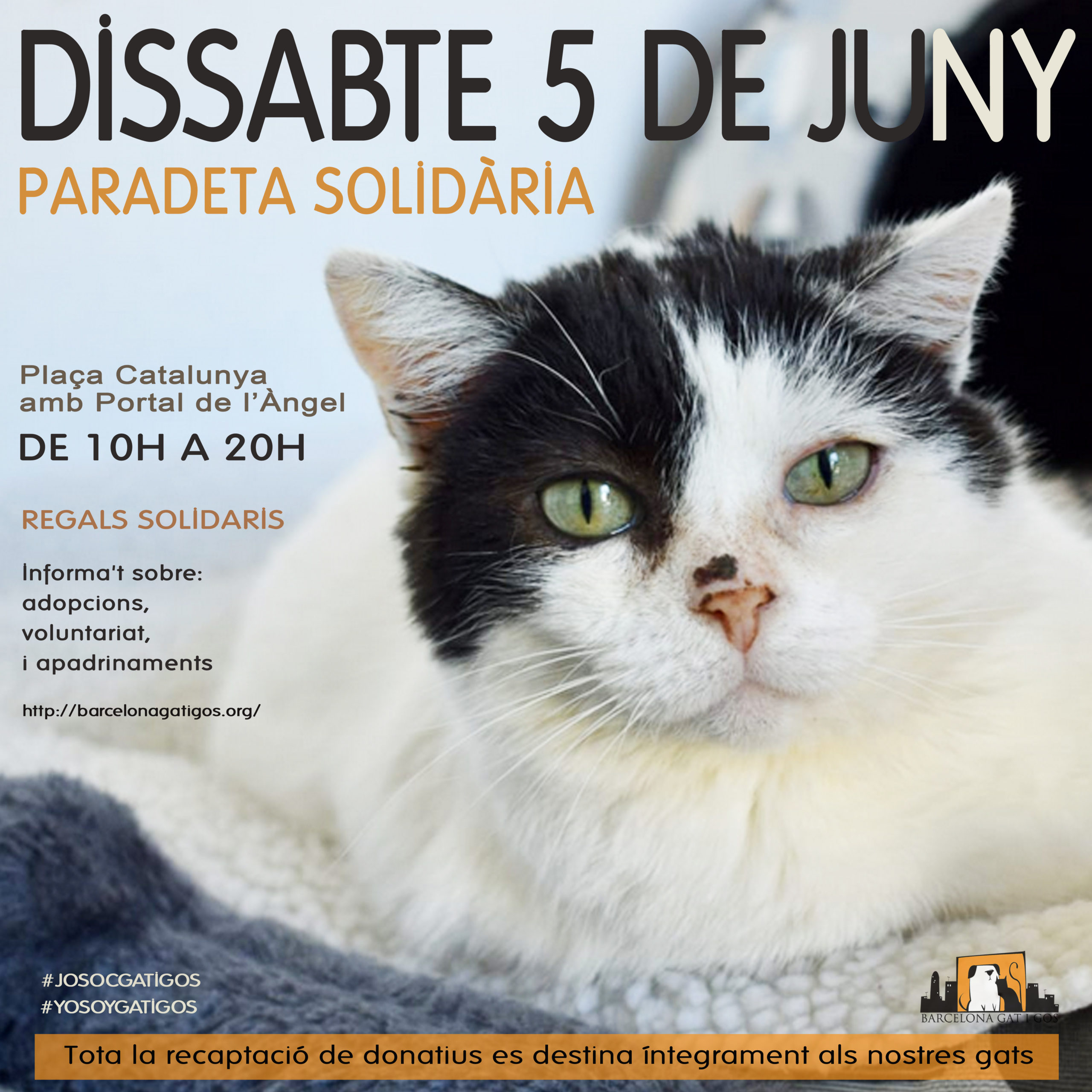 Paradeta 5 junio 2021 scaled 1