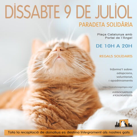 Paradeta 9 JULIO 2022