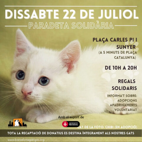 Paradeta 1x1 05