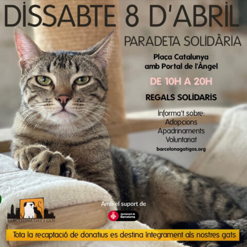 Paradeta 1x1 07