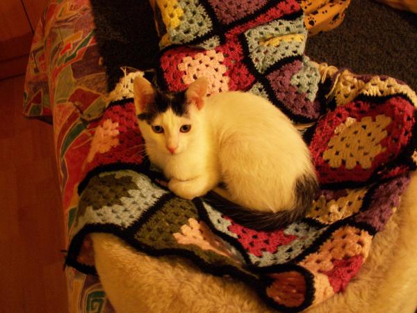 SrSpock amb Rosa
