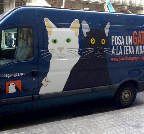 gatmovil